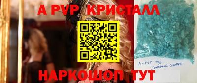 стафф Бийск