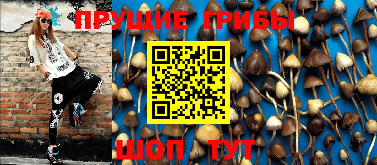 Альфа ПВП Карпинск