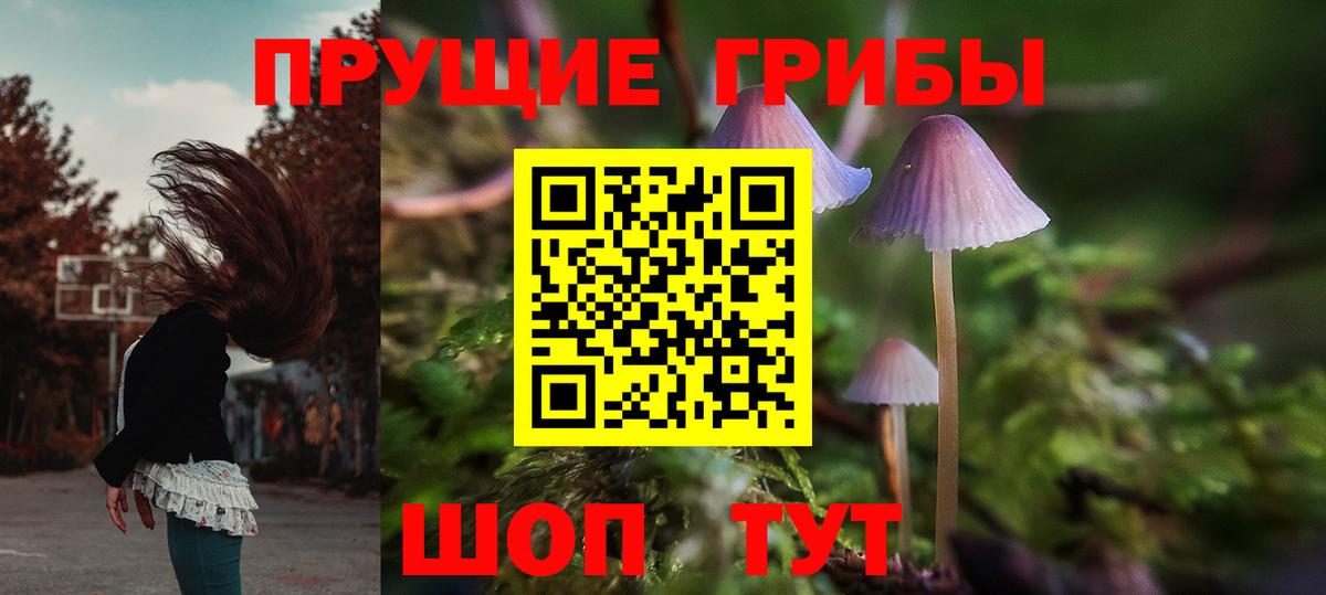 Псилоцибиновые грибы Psilocybine cubensis  Вход с VPN  Карпинск  Псилоцибиновые грибы мухоморы 